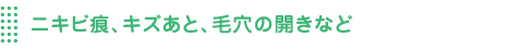ニキビ痕、キズあと、毛穴の開きなど